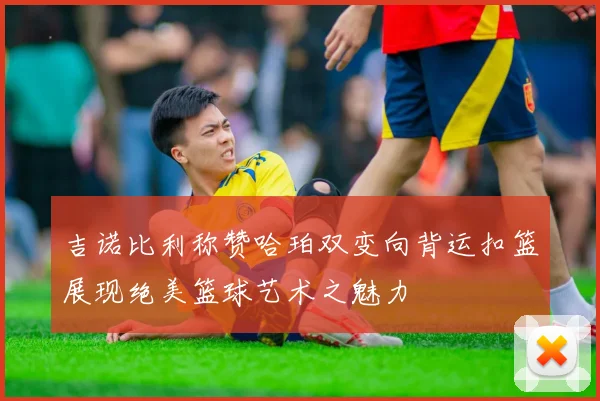 吉诺比利称赞哈珀双变向背运扣篮展现绝美篮球艺术之魅力