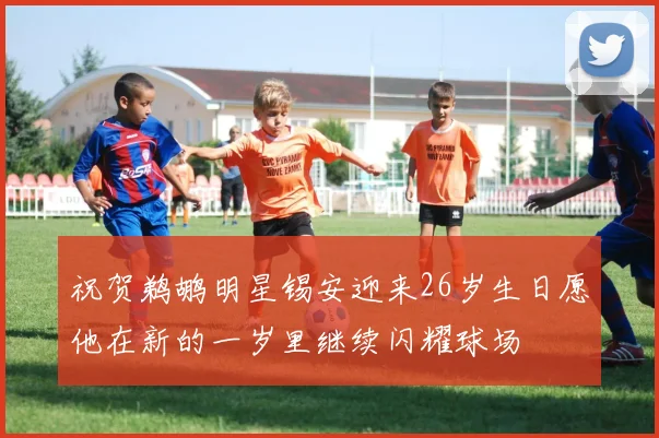 祝贺鹈鹕明星锡安迎来26岁生日愿他在新的一岁里继续闪耀球场